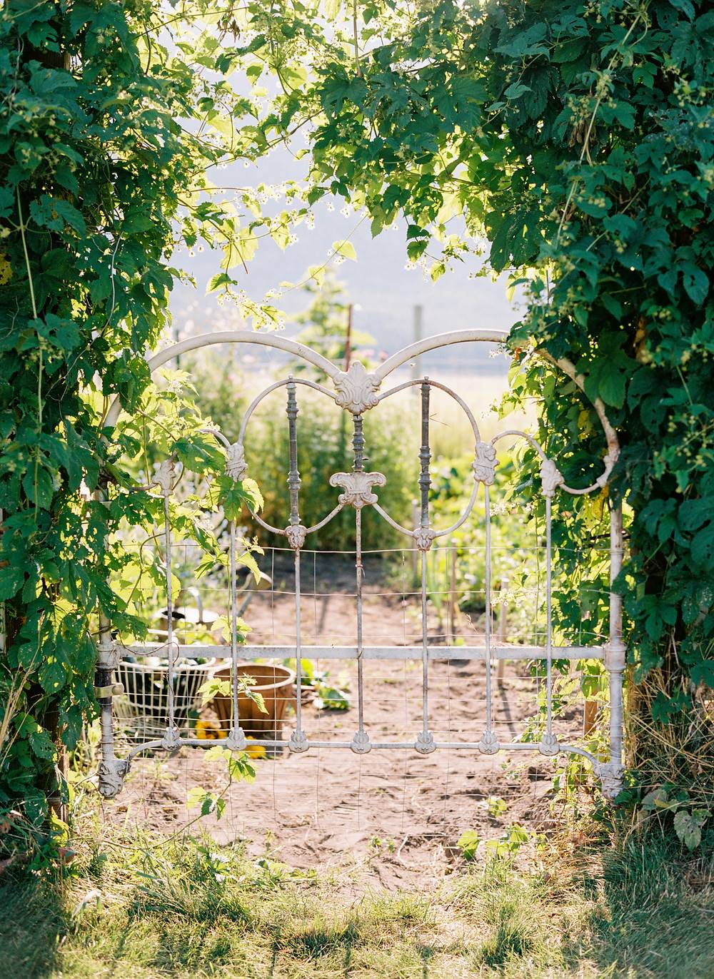 A Unique Garden Gate