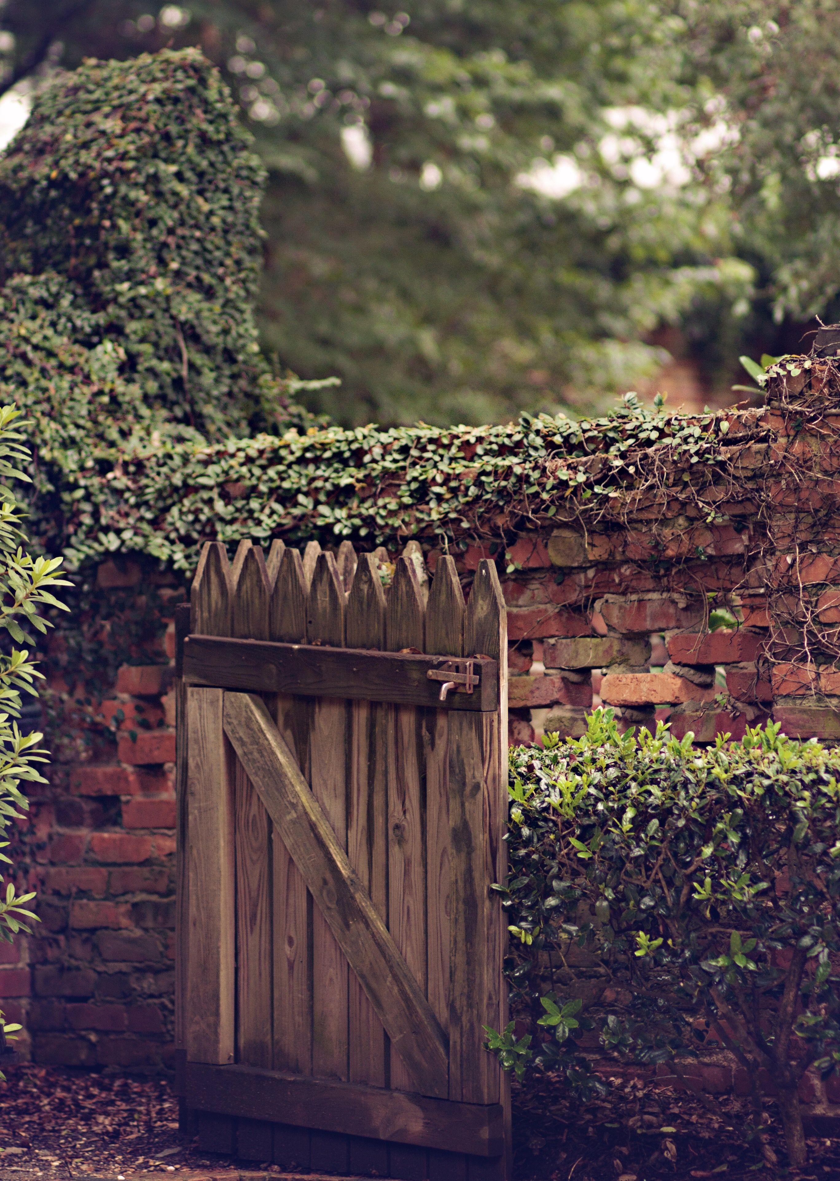 Cool Vintage Garden Gates Design Ideas More At Httpshomyfeedcom