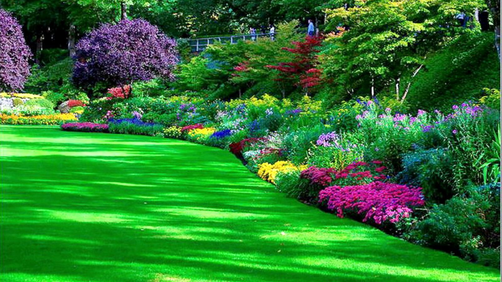 Flower Garden Ideas