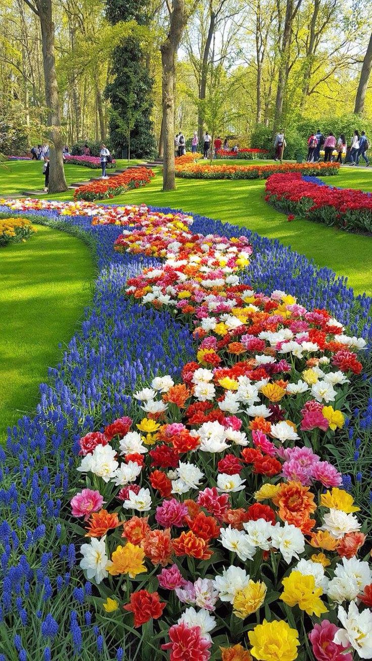 Beautiful Flower Garden