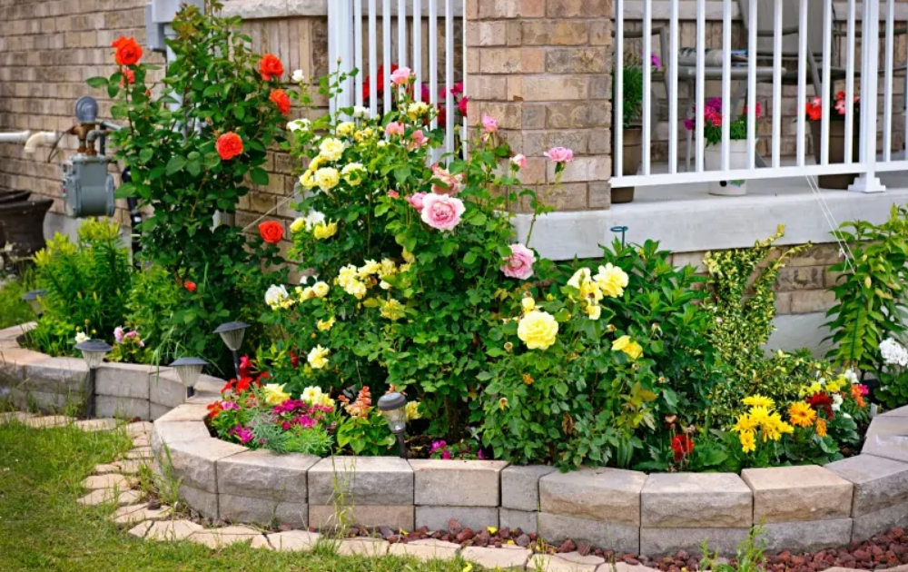 25 Front Yard Rose Garden Ideas You Should Check SharonSable