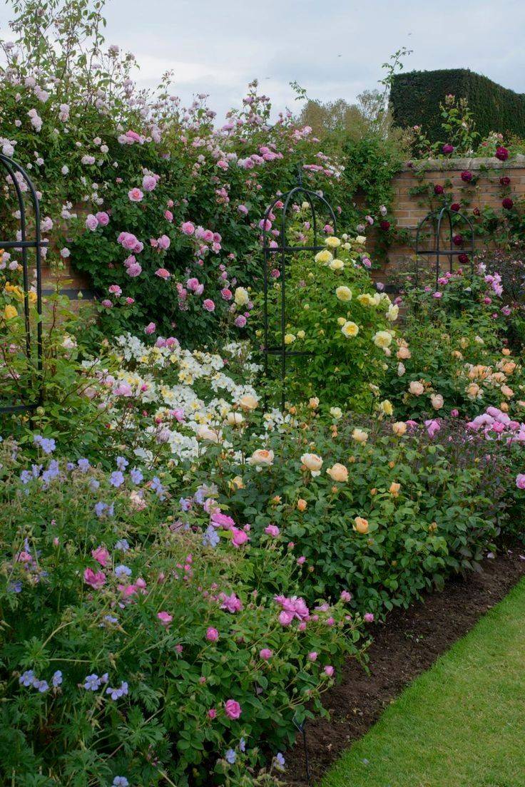 Front Yard Landscaping