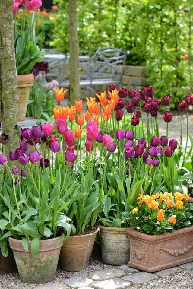 Lovely Diy Tulip Arrangement Ideas Page