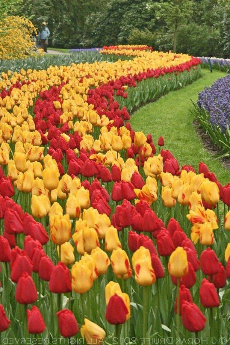 Most Beautiful Gardens