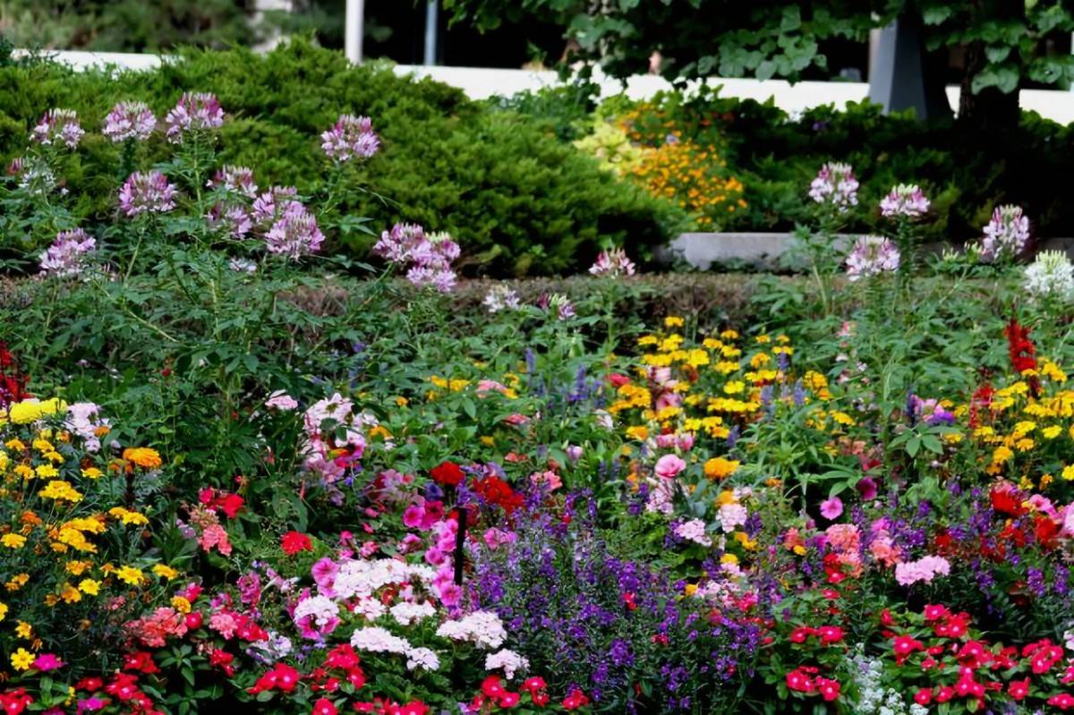 Amazing Flower Garden Ideas