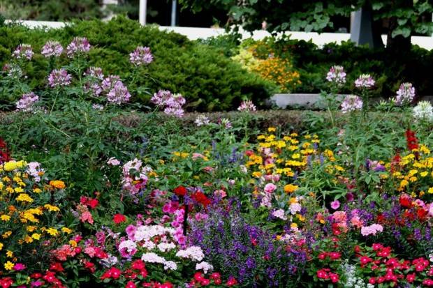 Amazing Flower Garden Ideas Style Motivation
