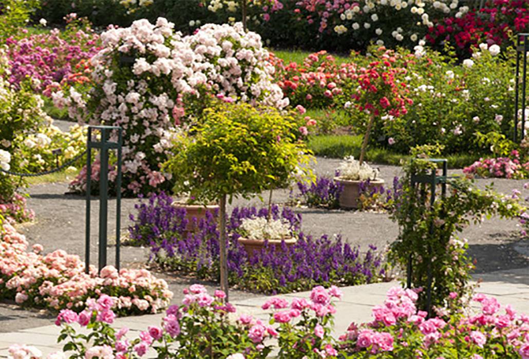 The New York Botanical Garden New York
