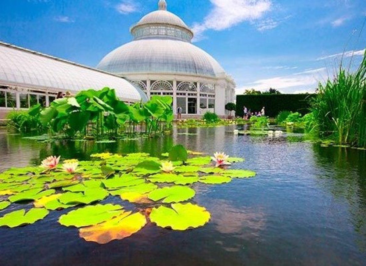 New York Botanical Garden Monet Decoredo