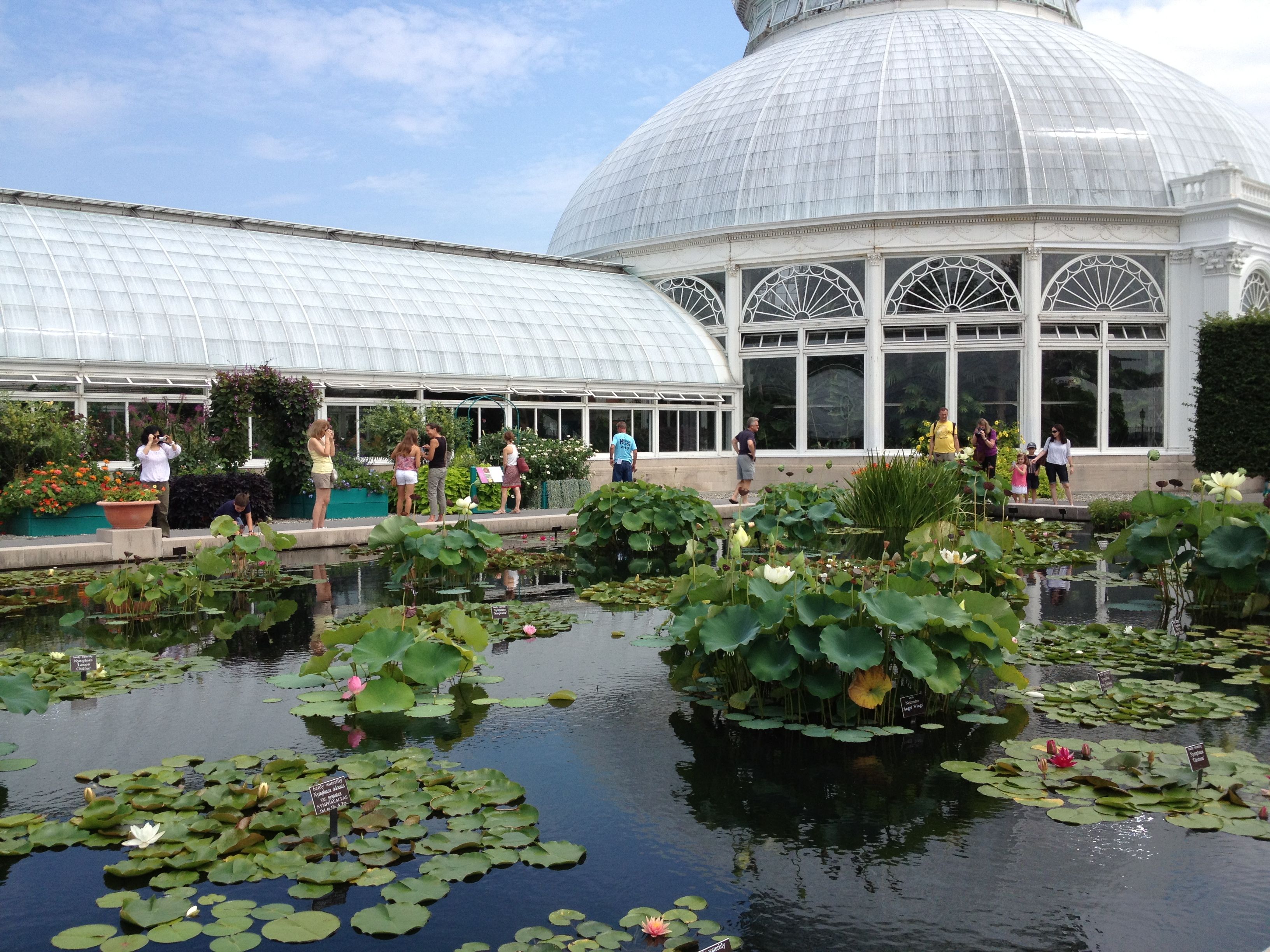 The New York Botanic Gardens Annual Orchid Show