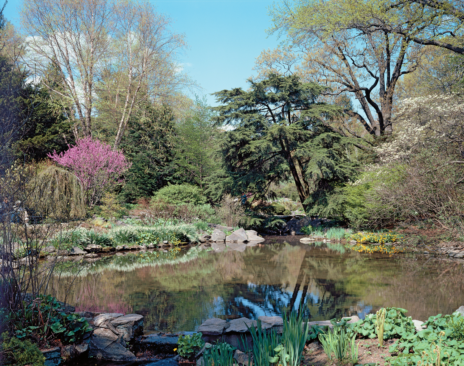 The New York Botanical Garden Reopens