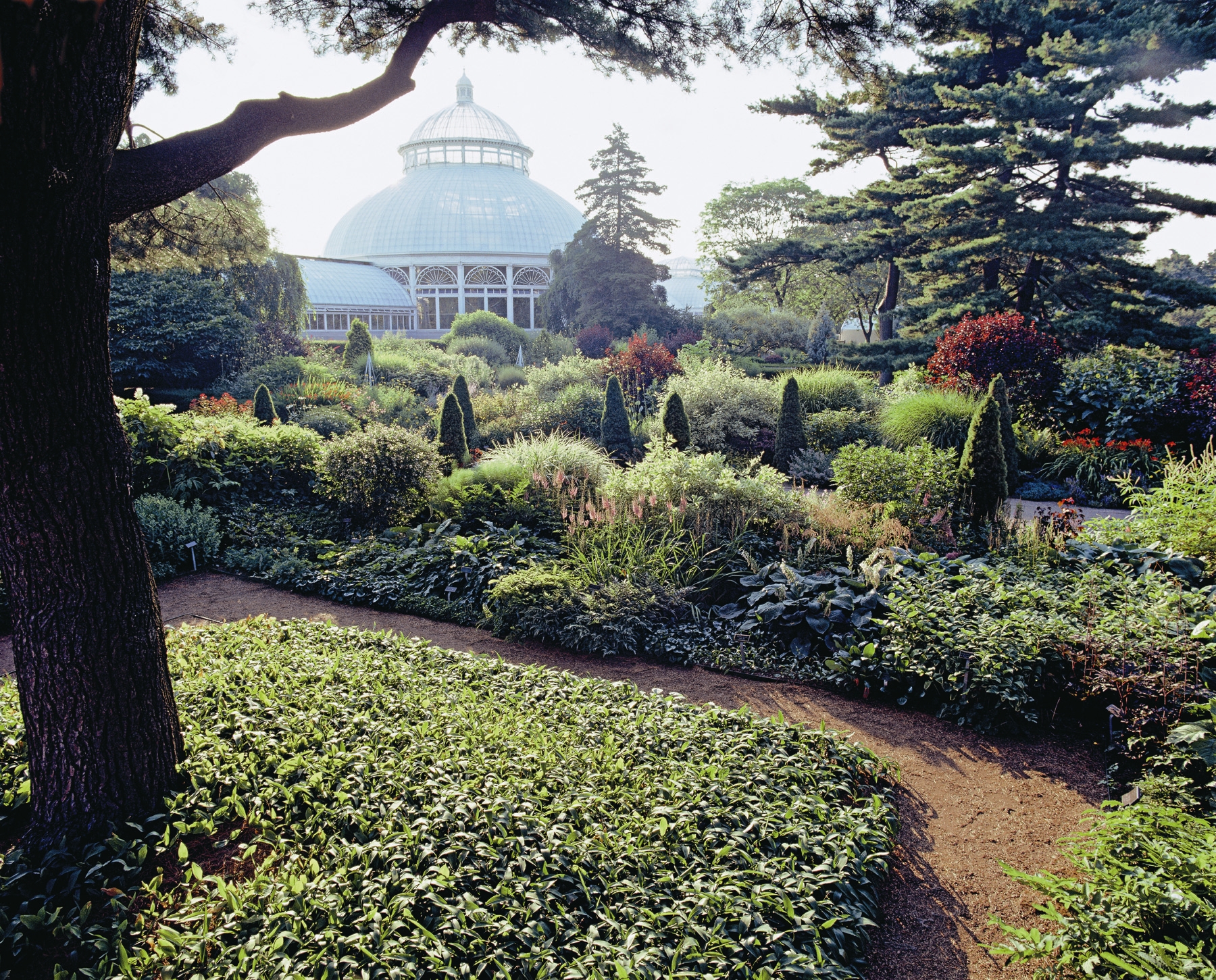 The New York Botanical Garden