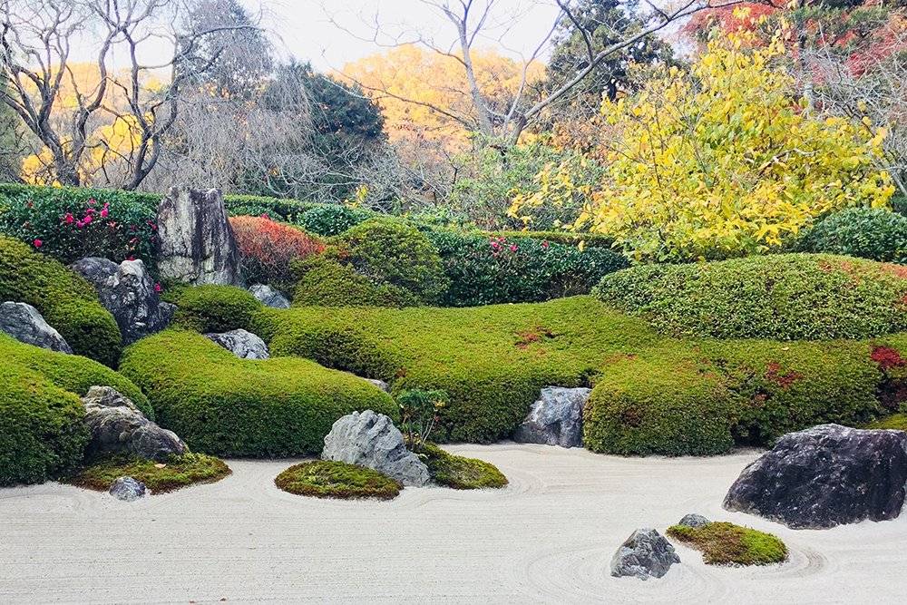 Herb Garden Dunedin Botanic Garden Landscaping Plants