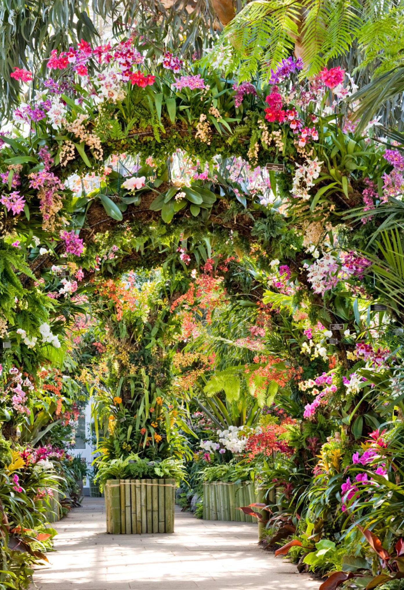 The New York Botanical Gardens