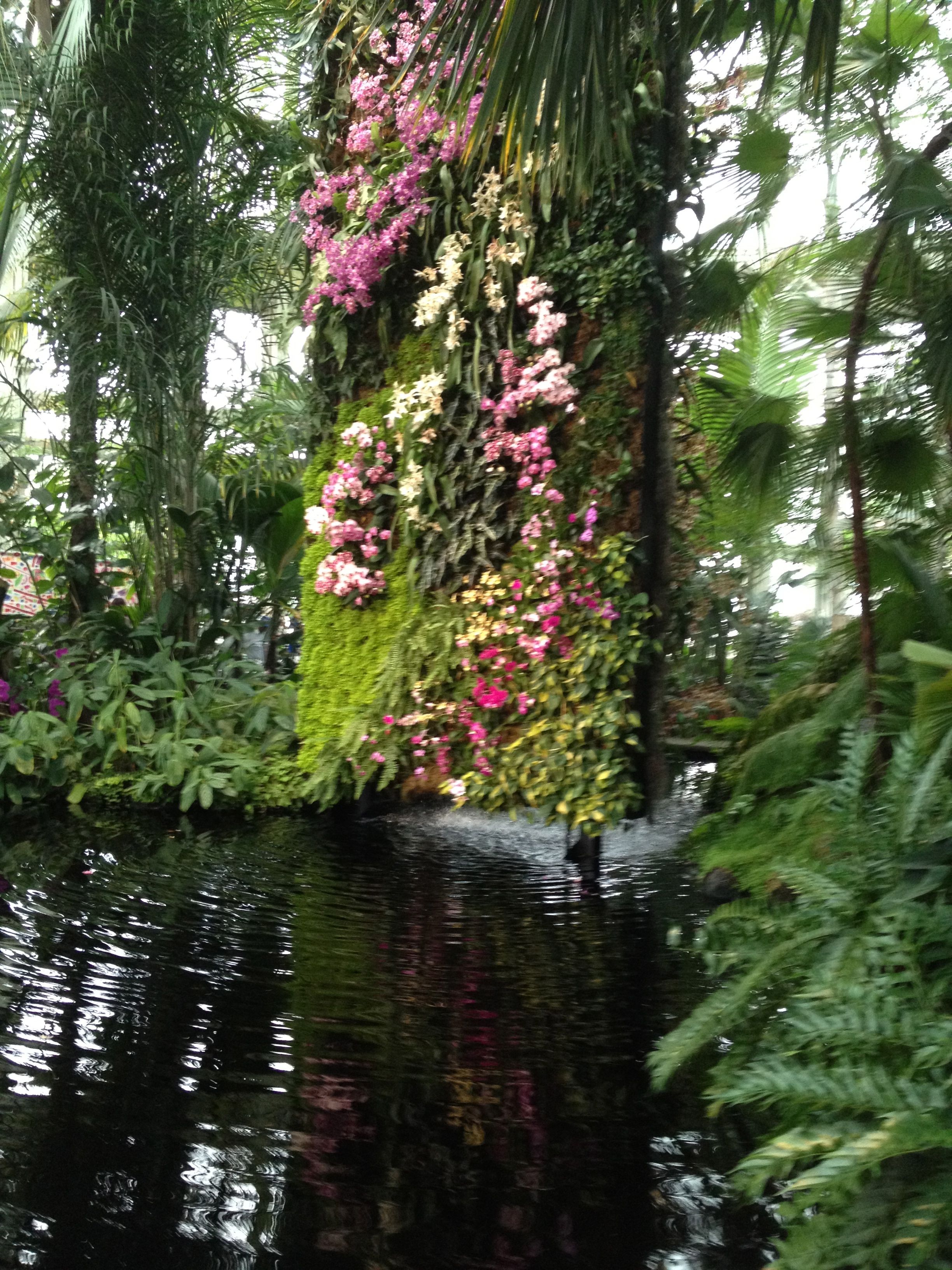 The Azalea Garden New York Botanical Garden Bronx Ny Credit