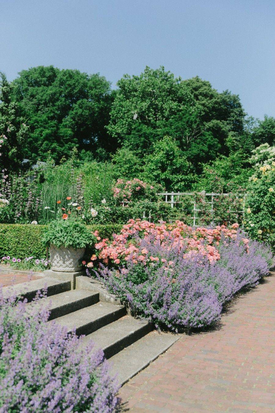 Botanical Gardens Nyc Brooklyn Beautiful Flower Arrangements