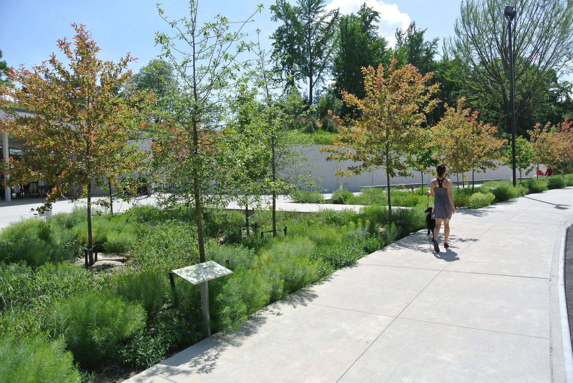 Brooklyn Botanic Garden New Yorker Tips
