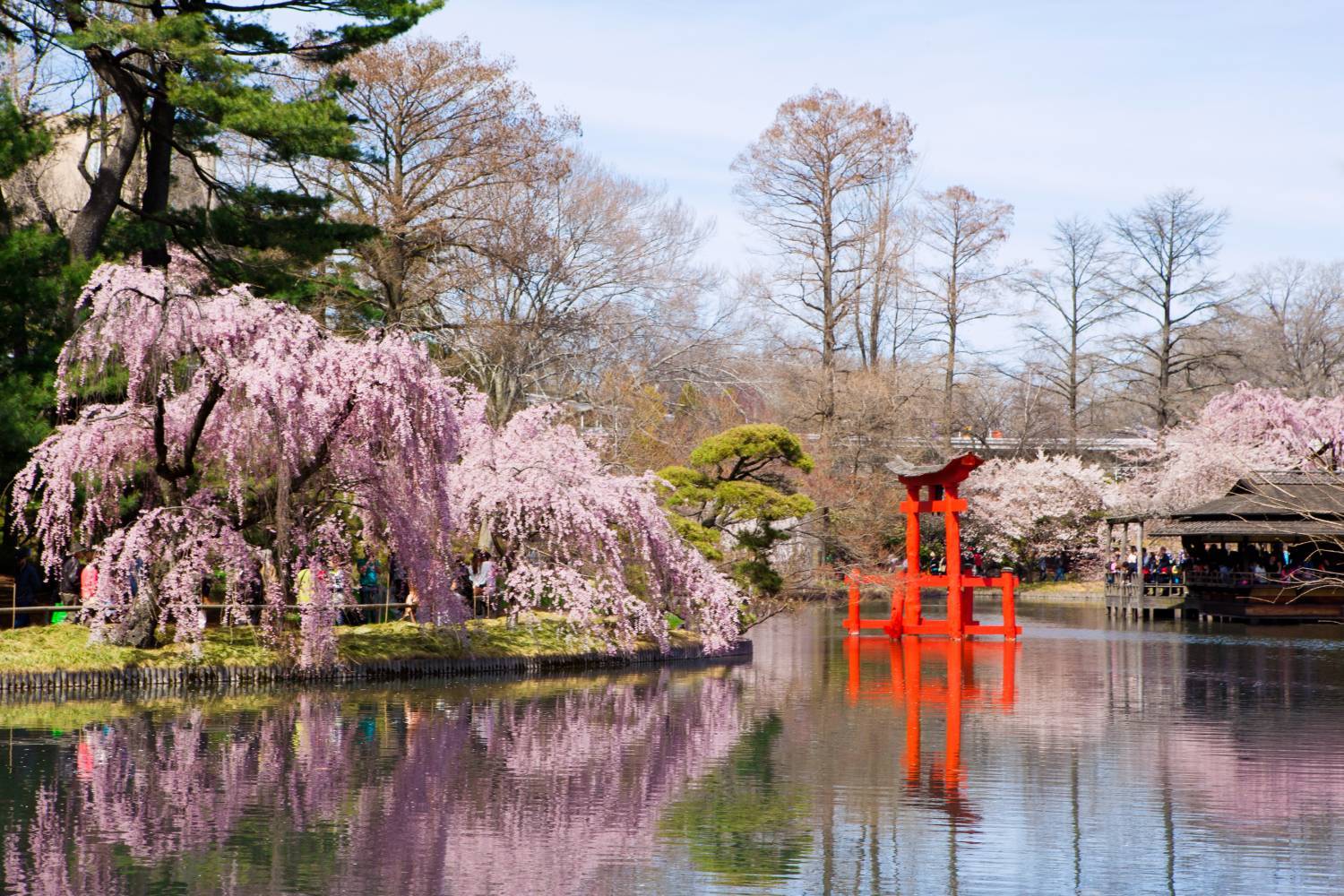 Brooklyn Botanical Garden