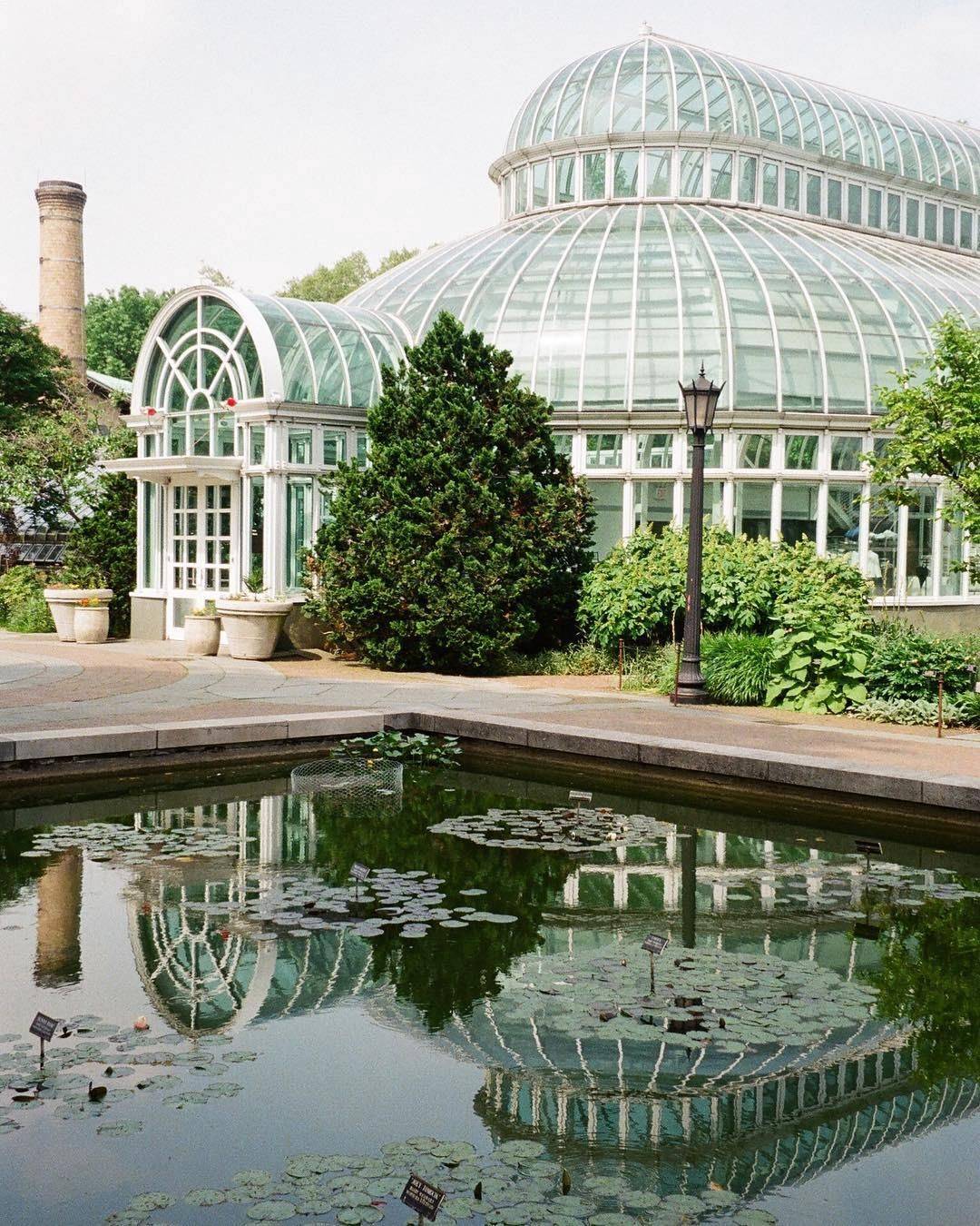 Colorful Knot Garden Google Search Brooklyn Botanical Garden