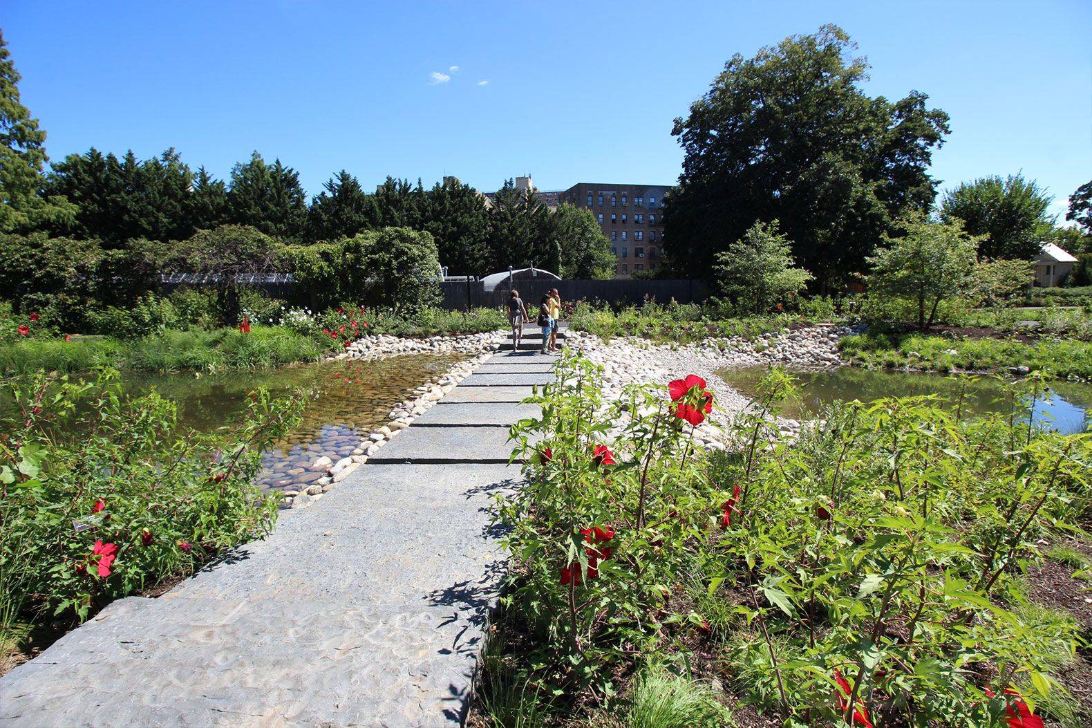Brooklyn Botanic Garden