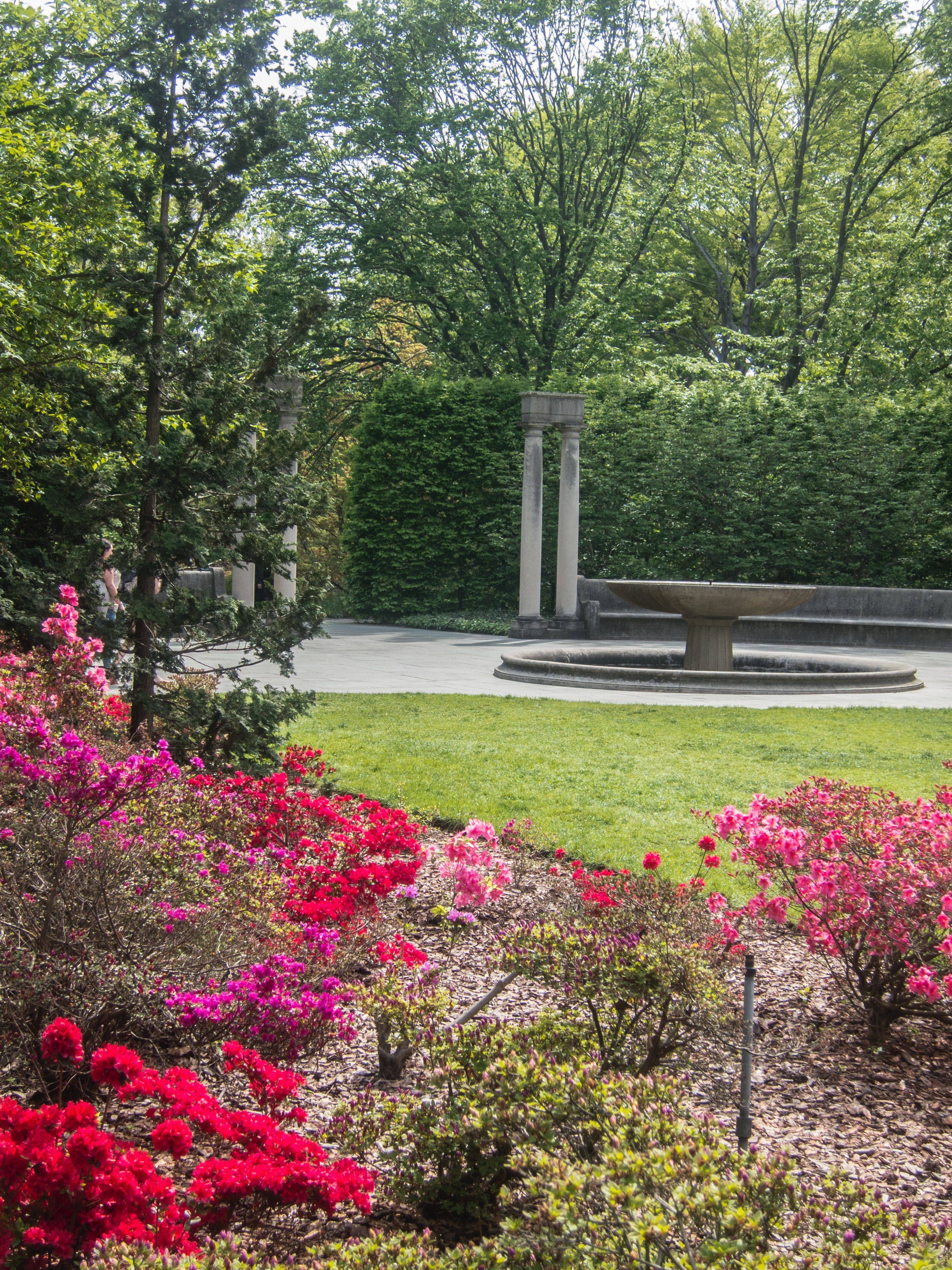 The Brooklyn Botanical Gardens