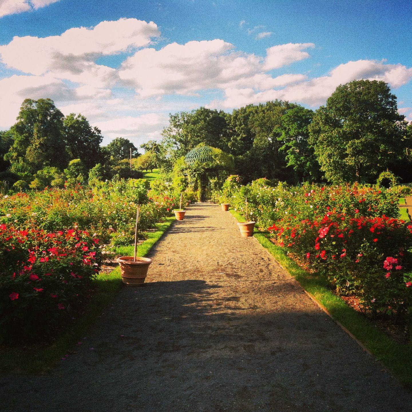 Botanical Gardens Jobs Bronx Beautiful Flower Arrangements