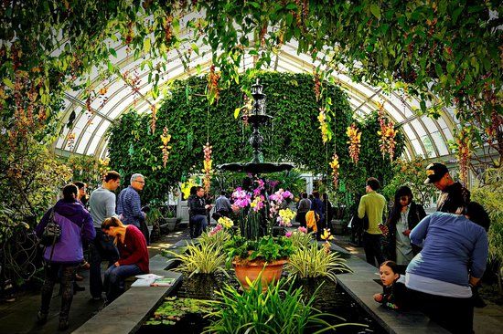 Bronx Jul Chihuly Exhibit Botanical Gardens
