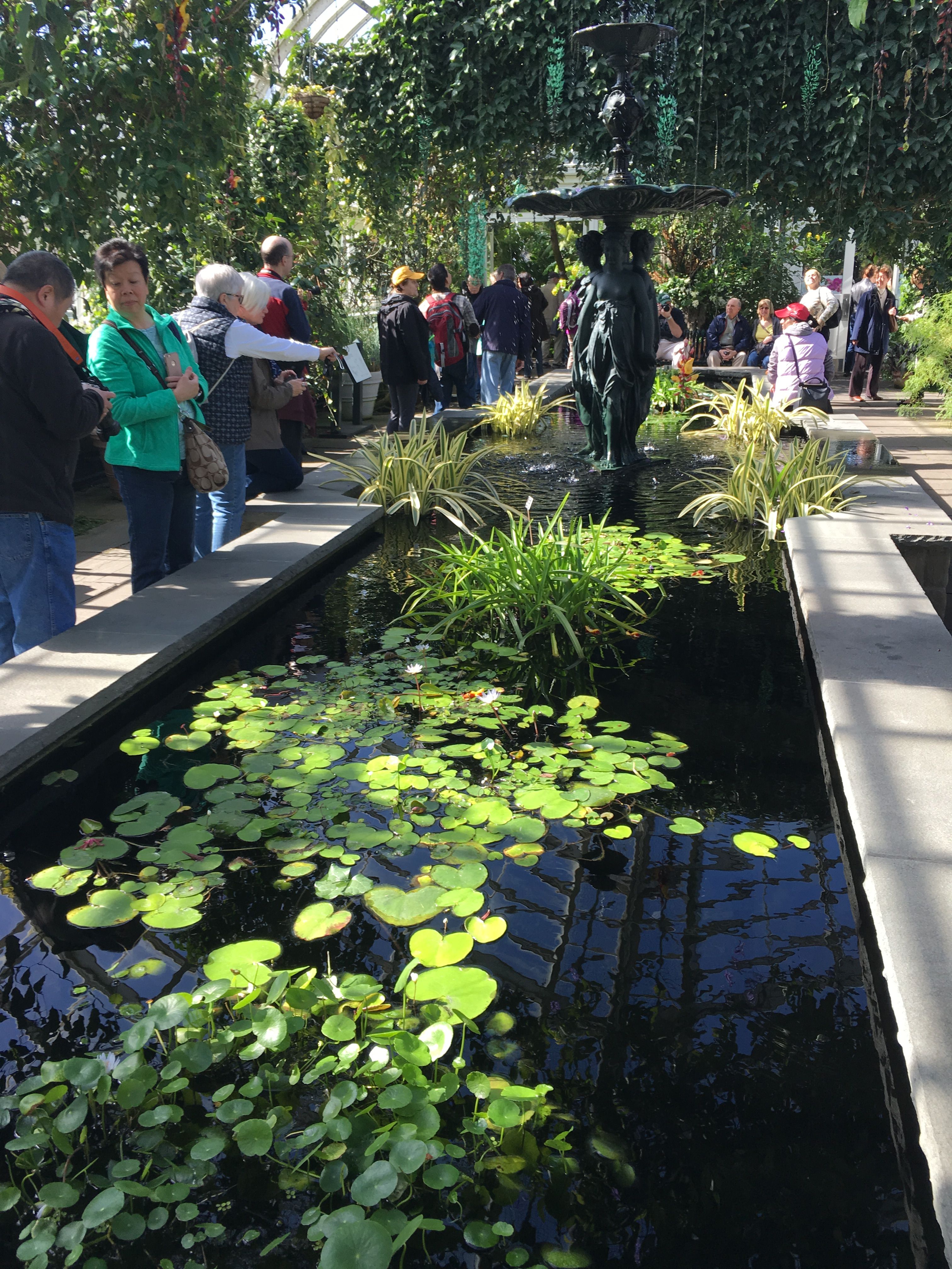 The New York Botanical Garden