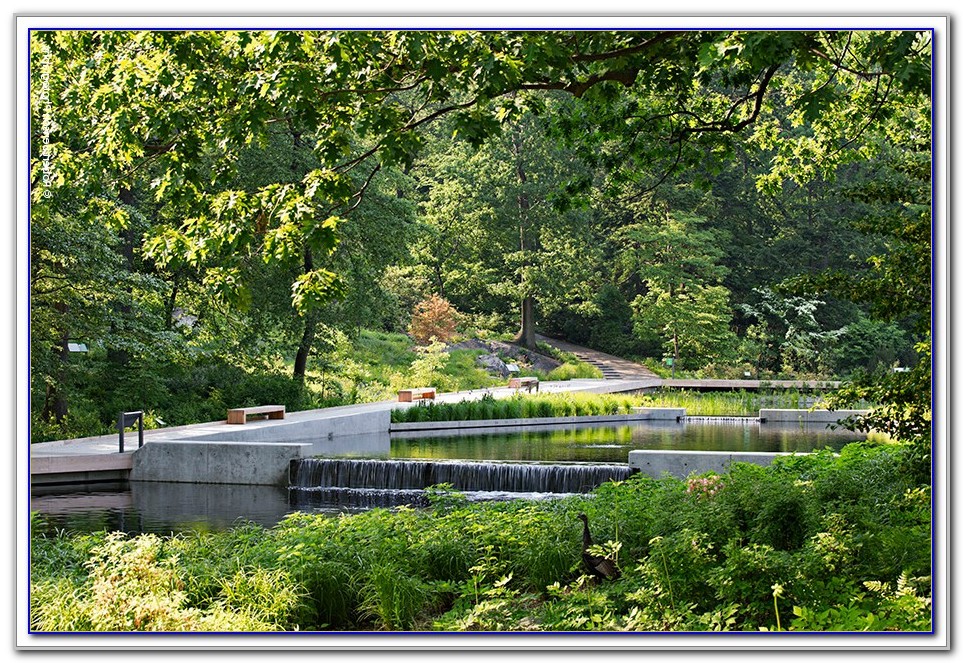 The New York Botanical Garden