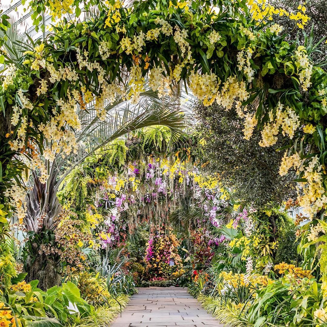 New York Botanical Garden