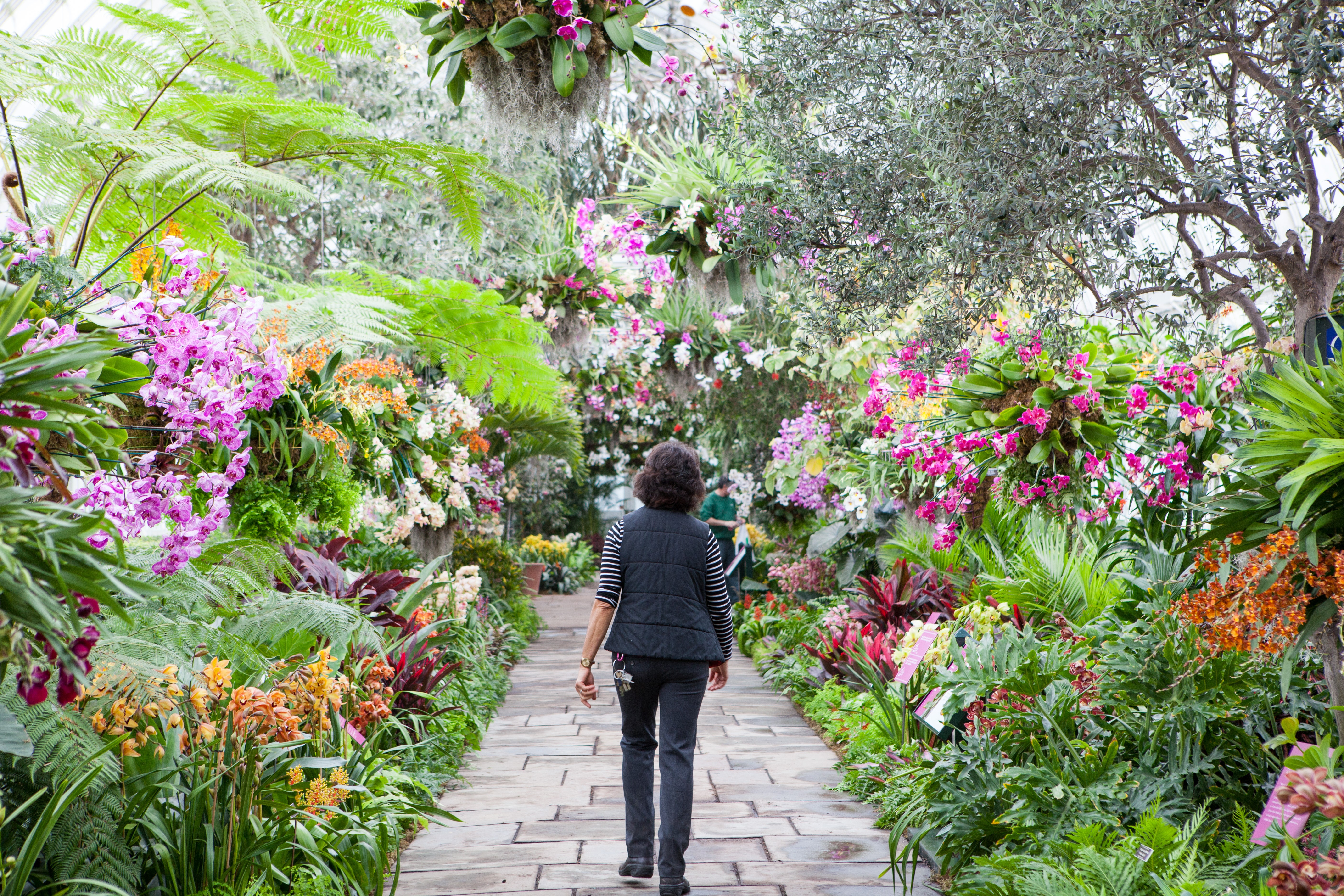 New York Events April Brooklyn Botanical Garden