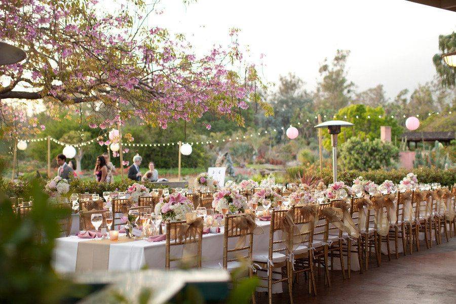 Modern Botanical Garden Wedding Day