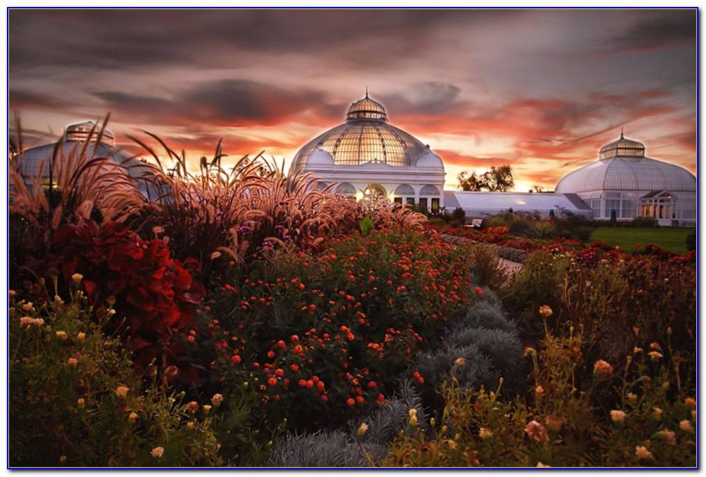Buffalo And Erie County Botanical Gardens