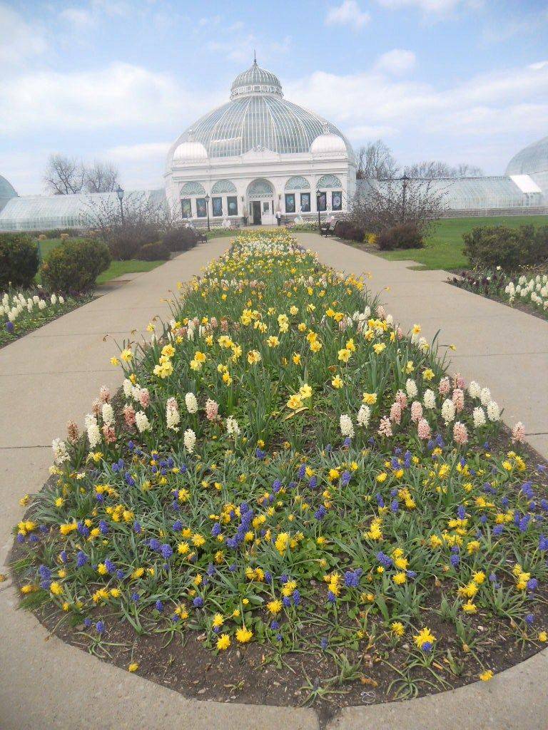 The Buffalo Botanical Gardens