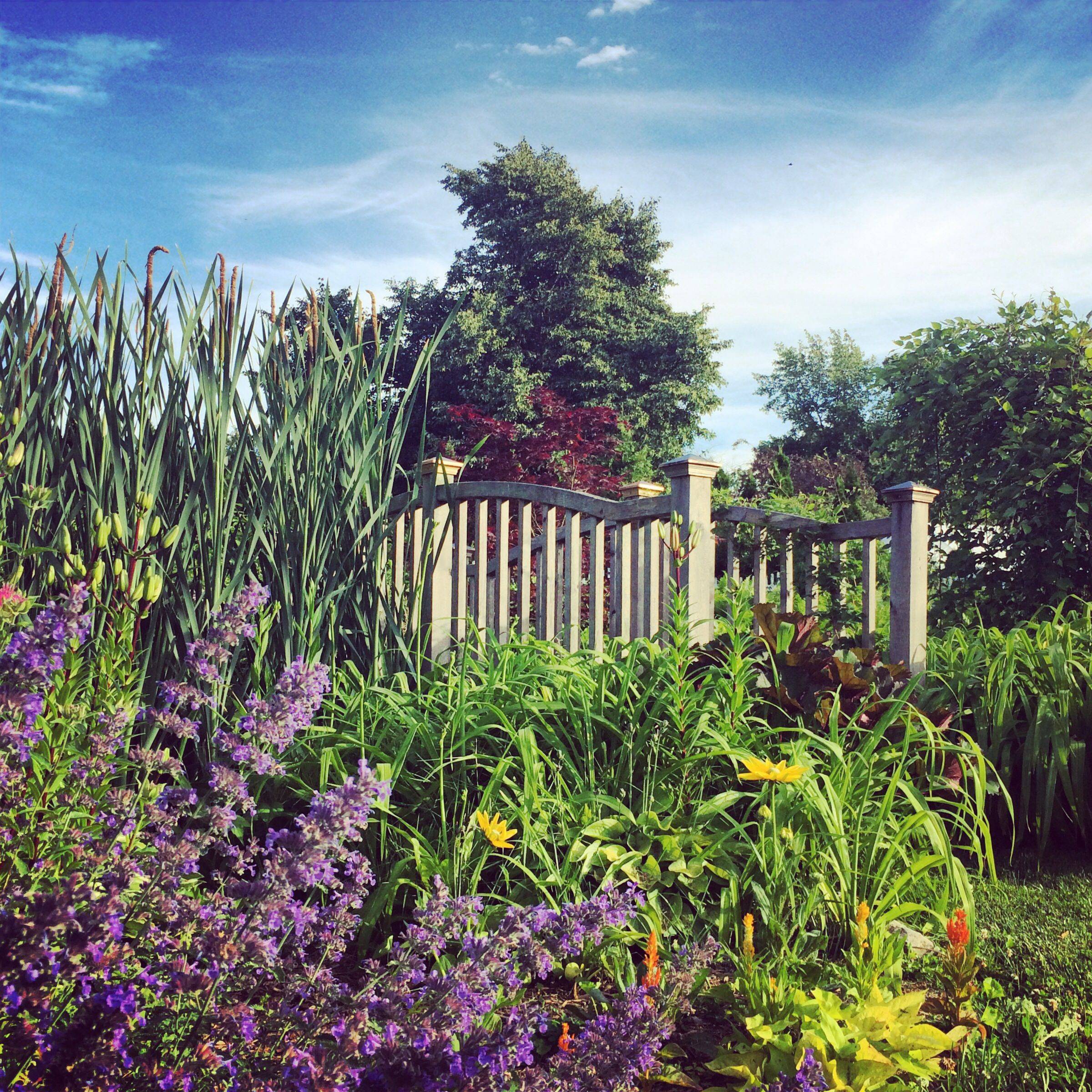 First Weekend The Herbal Garden Queens Botanical Garden