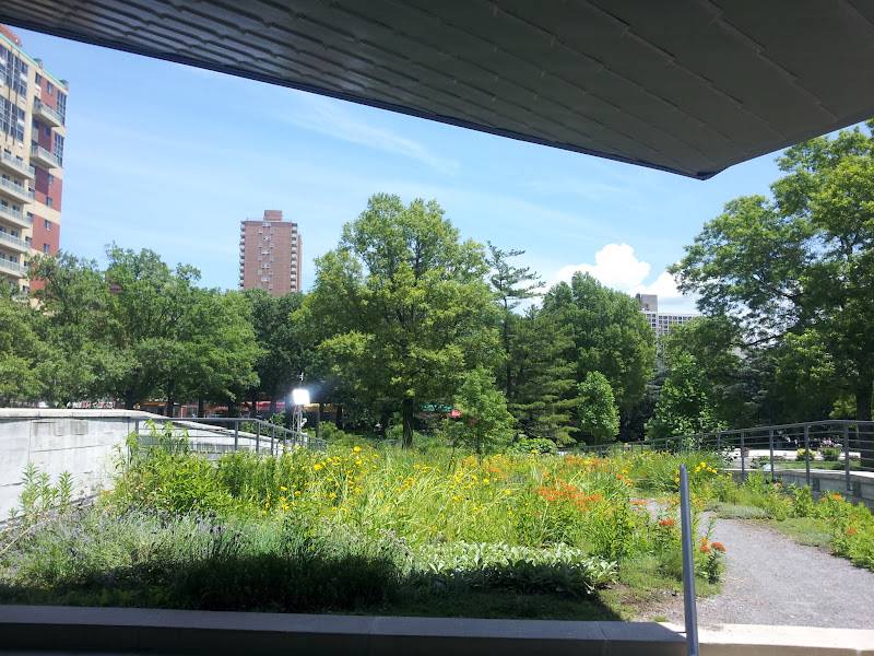 Queens Botanical Garden Greenroof