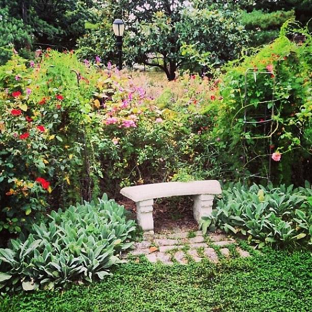 Queens Botanical Garden Water Feature Google Search Garden Water