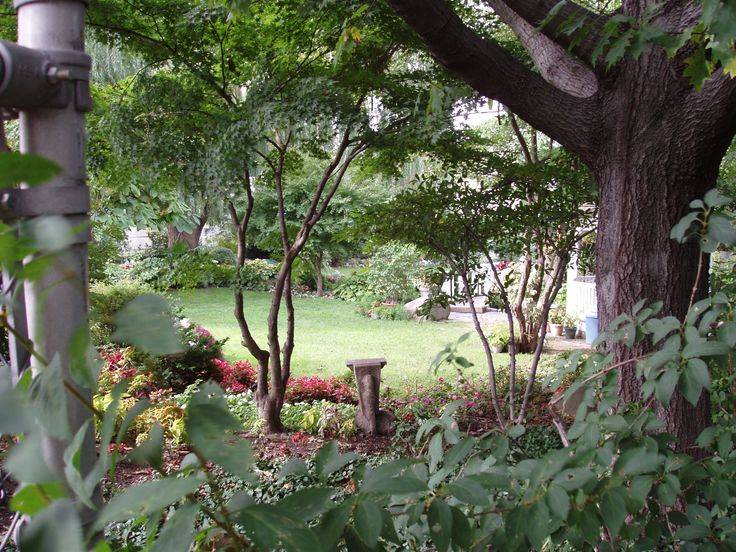 The Queens Botanical Garden