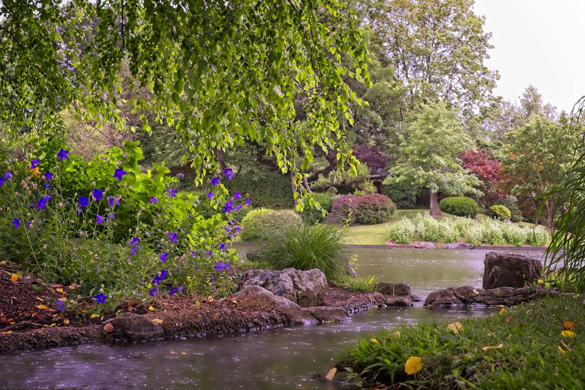 Lake Fayetteville Botanical Gardens