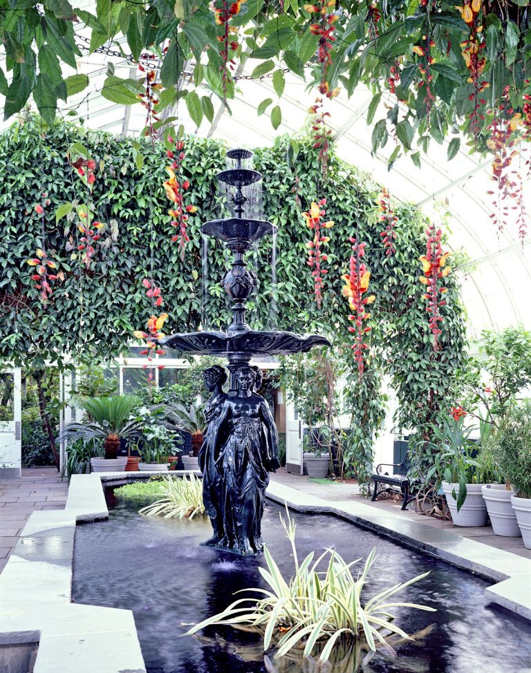 Botanic Garden Photos Washington Dc United States Botanic Garden