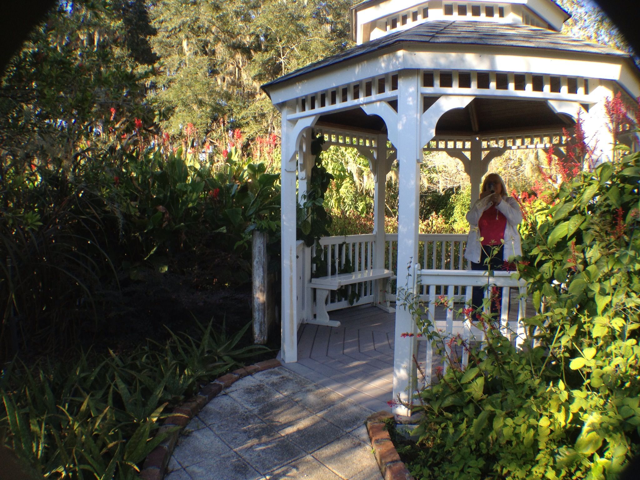 The Bronx Botanical Gardens