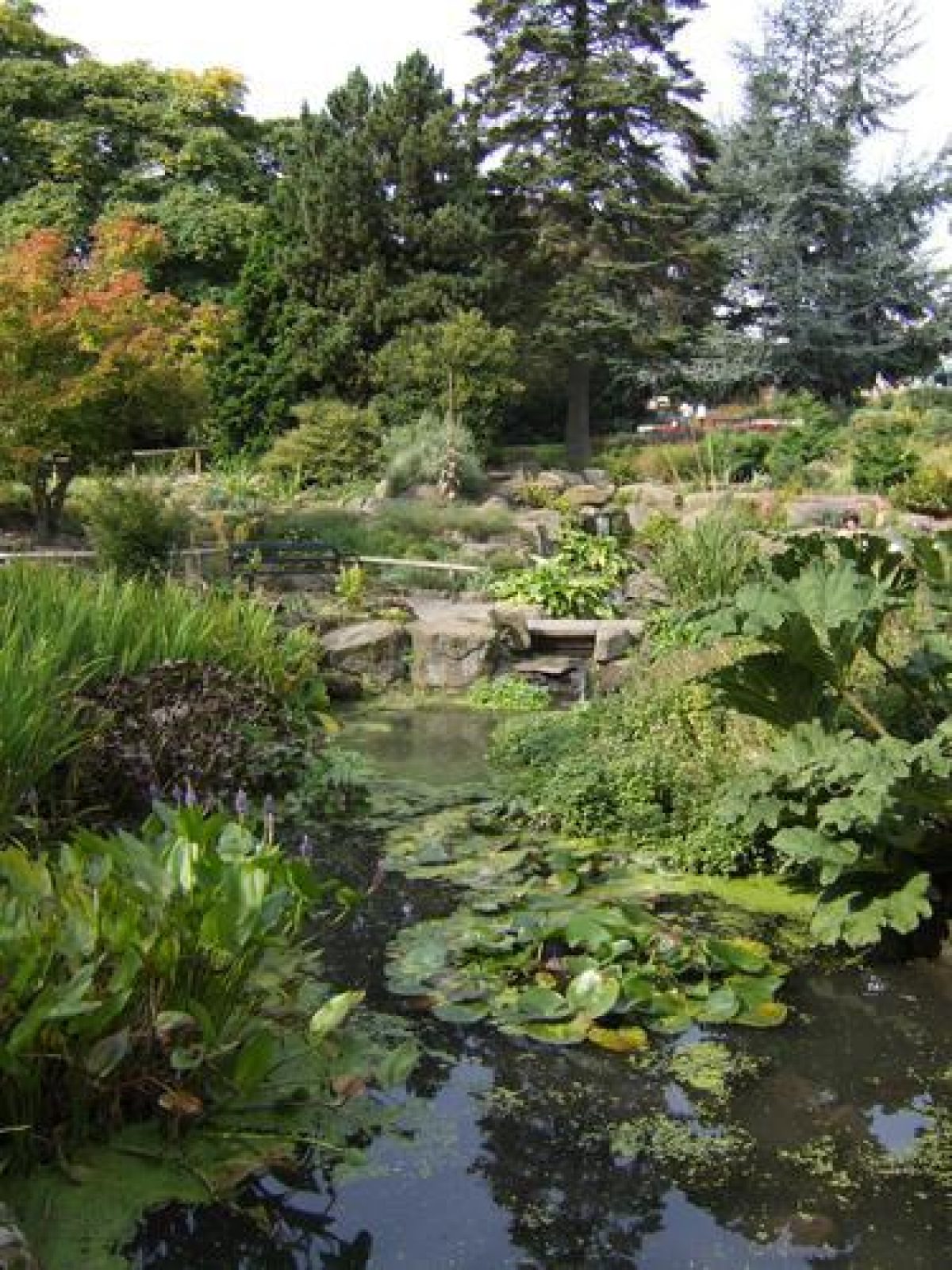 Sheffield Botanical Gardens Parks
