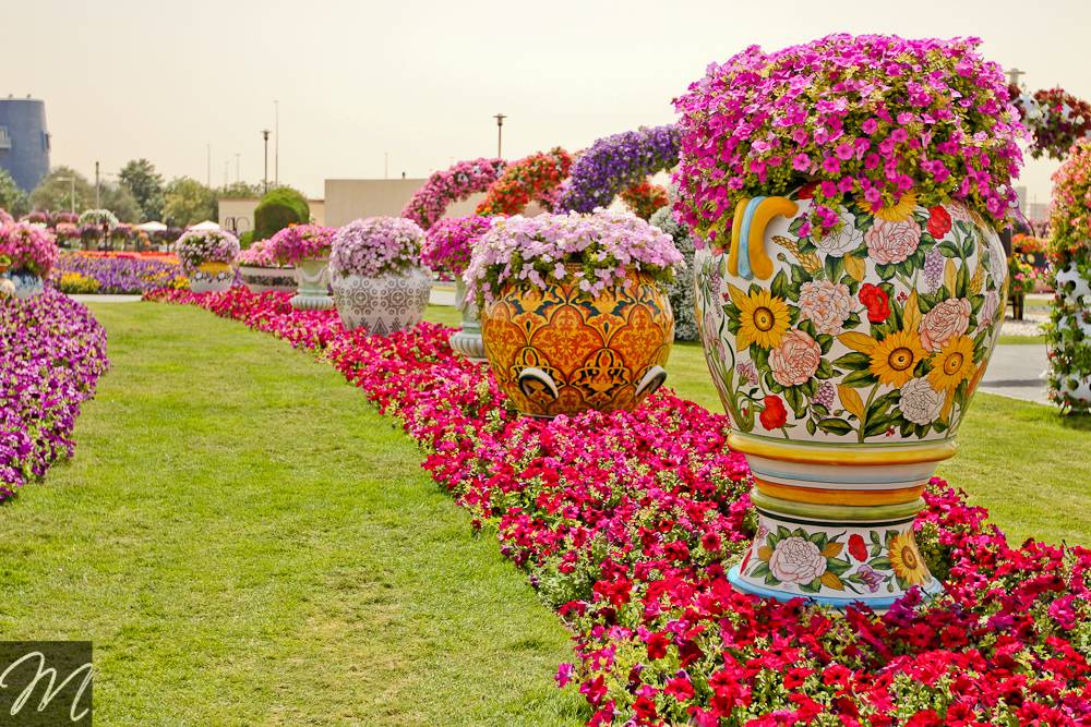 The Most Beautifully Designed Flower Gardens