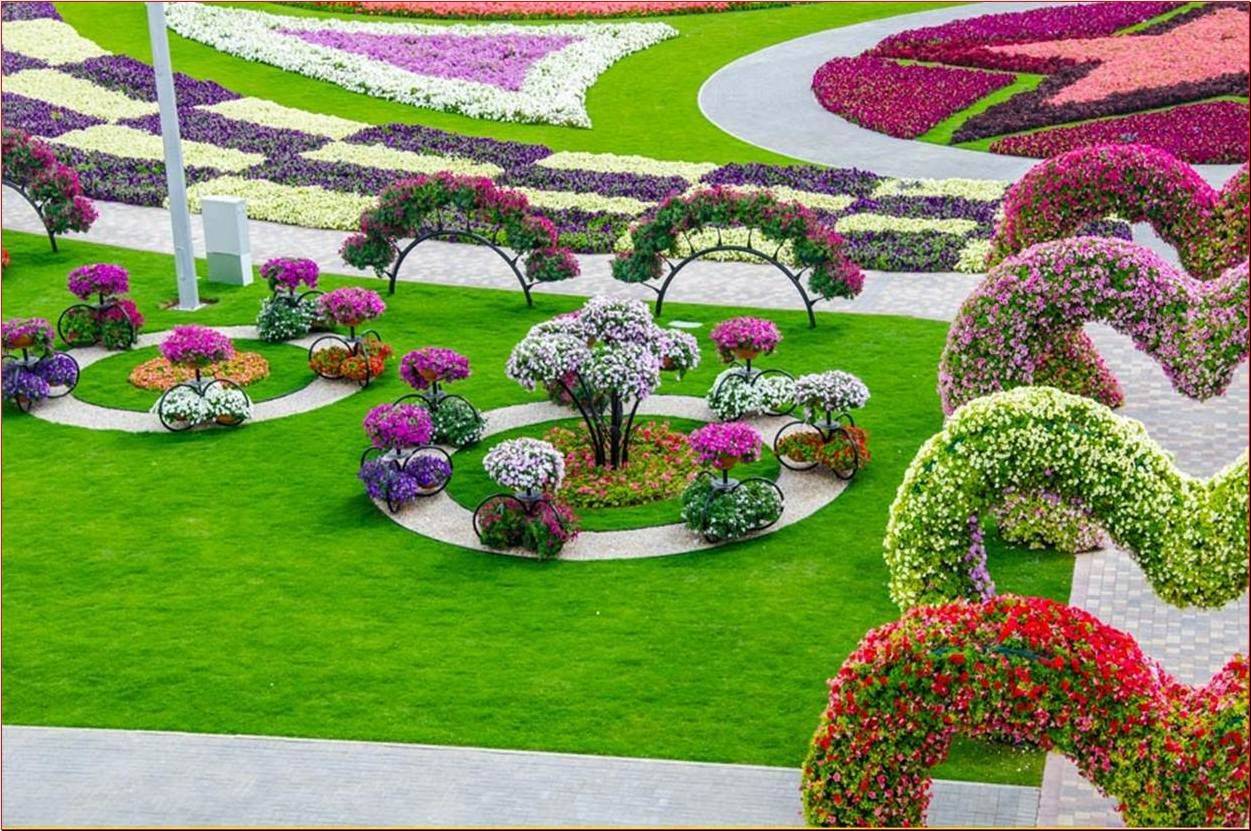 Worlds Most Beautiful Dubai Miracle Garden