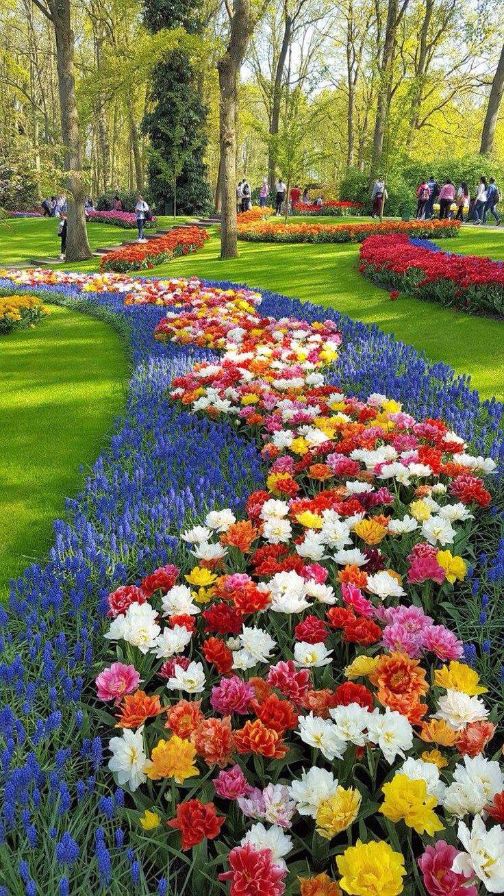 The Most Beautiful And Biggest Natural Flower Garden