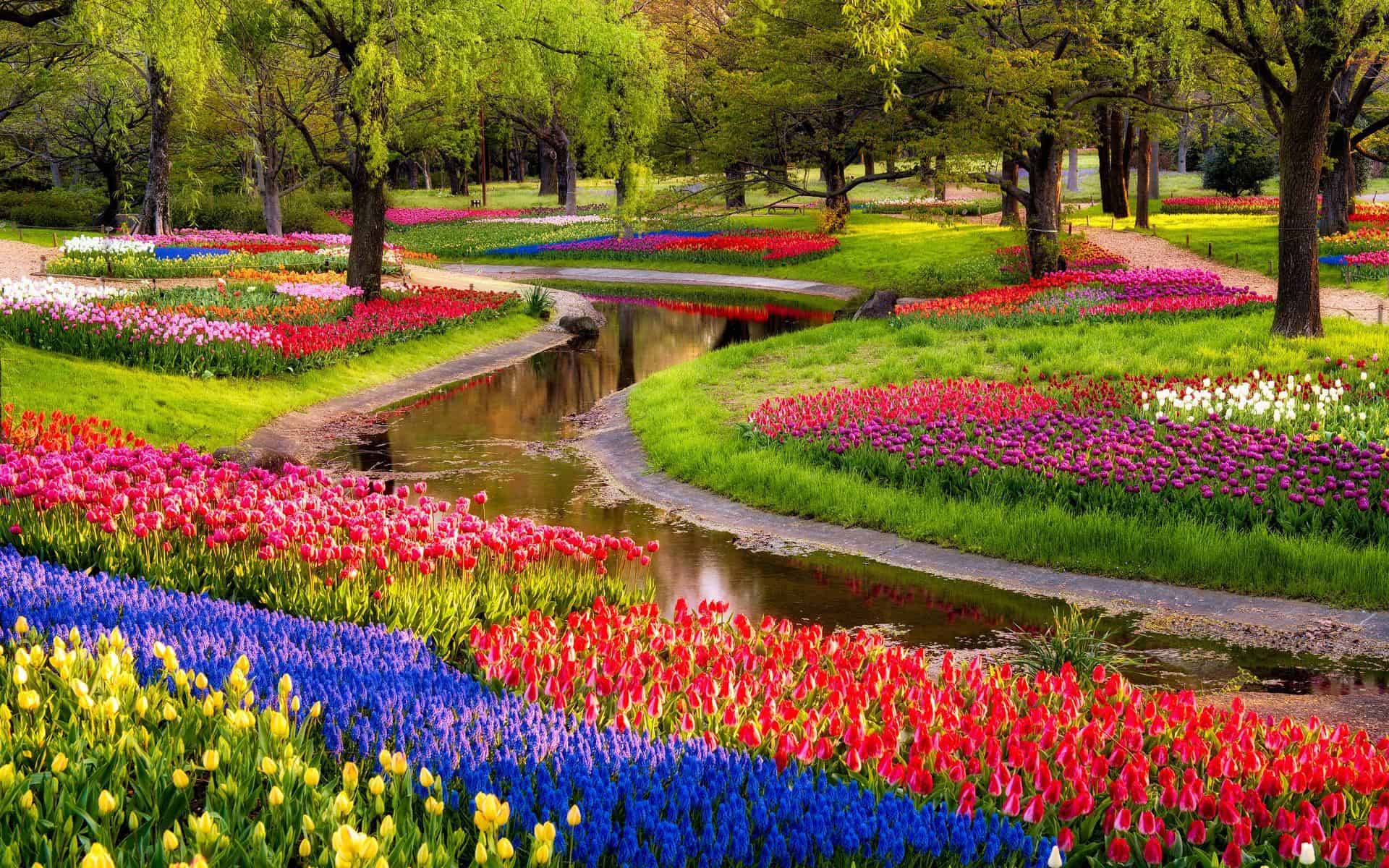 The Most Beautiful Flower Garden
