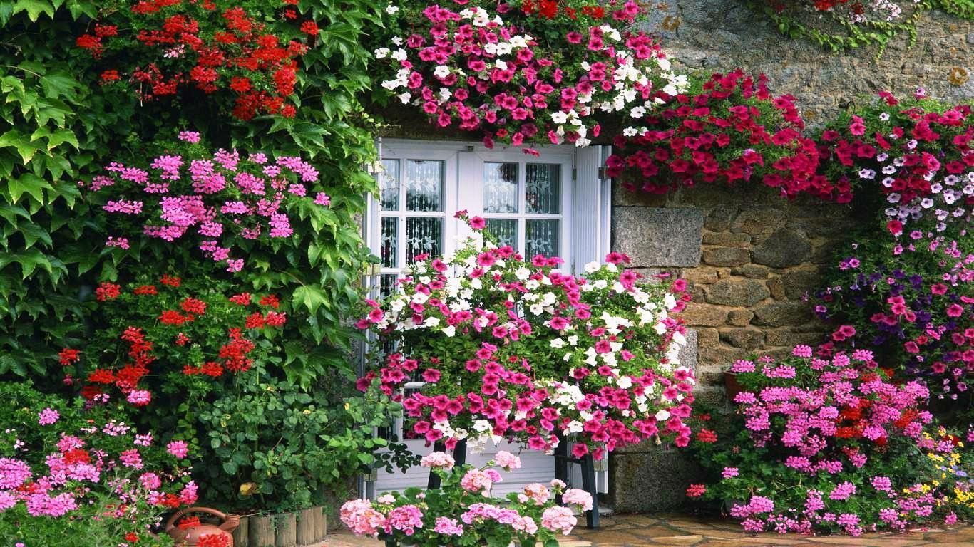 Owl Topiary Outdoor Sculpture