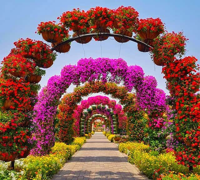 The Most Beautiful And Biggest Natural Flower Garden