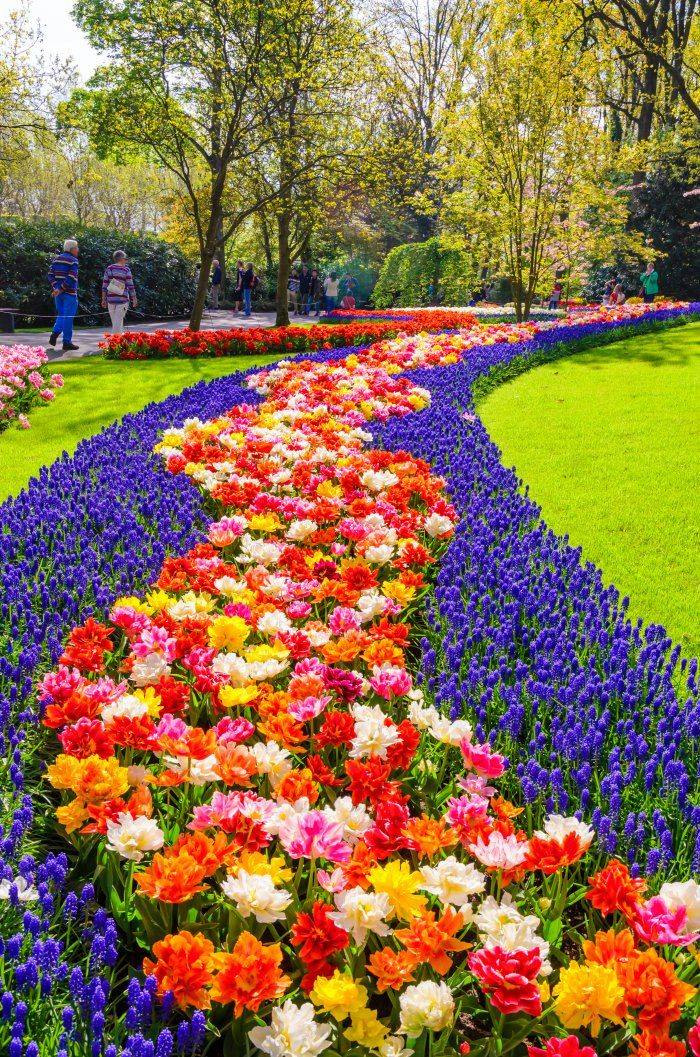 Beautiful Flower Garden Design Ideas Home