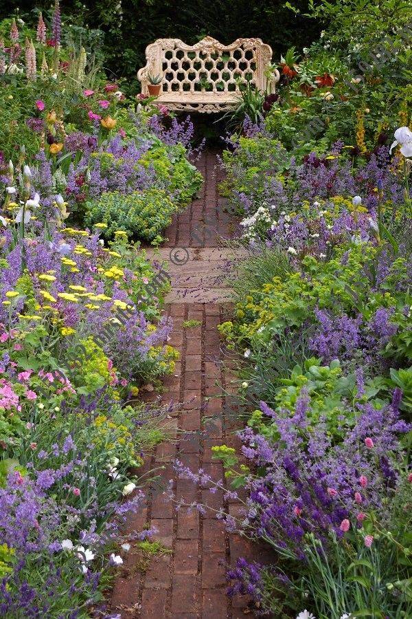 A Perennial Walkway