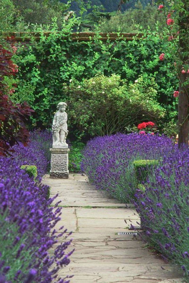 Breathtaking Tulips Garden